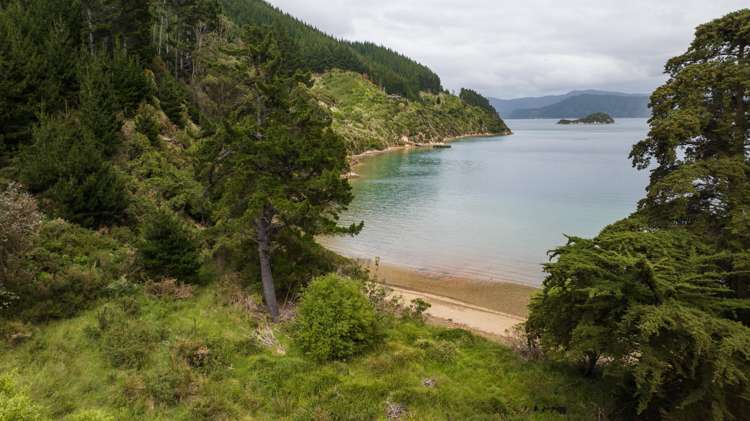 Arapaoa Island - Waikakaramea Bay Marlborough Sounds_6