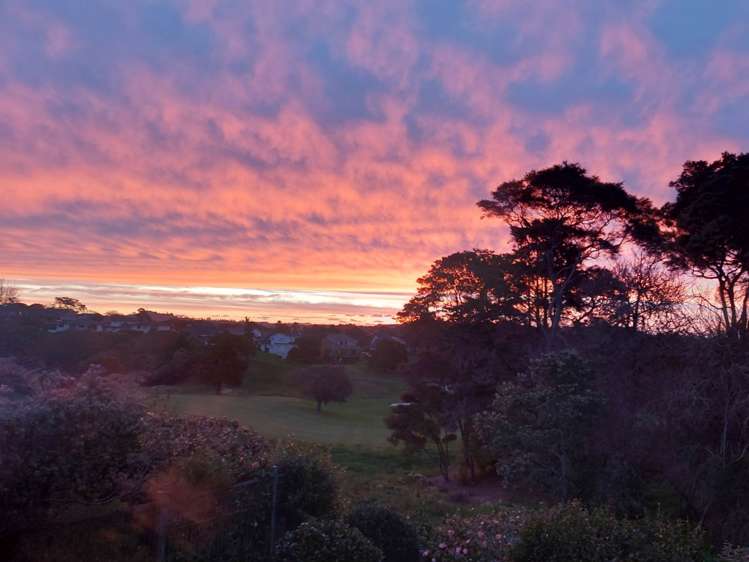 1/159 Norman Lesser Drive Saint Johns_23