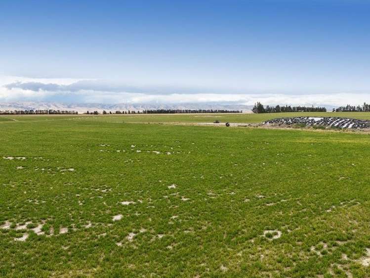 986 Gimmerburn-Waipiata Road Ranfurly_15