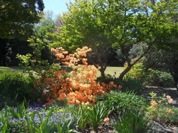 100 Bells Road West Melton_23