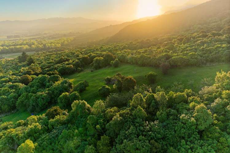 759 Mount Fyffe Road Kaikoura Flat_16