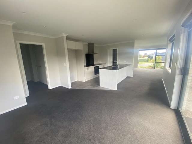 12 Harp Street Morrinsville_3