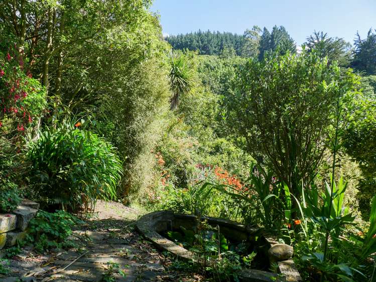 16 Henry Street Careys Bay_21