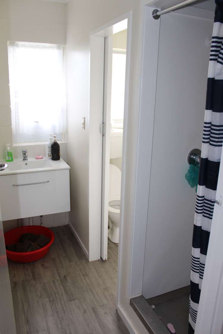 85 Clyde Street Hamilton East_6