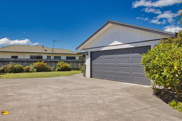 71 Avenue Road Greenmeadows_20