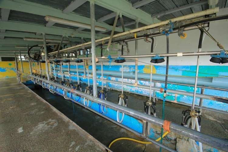 293 Lindquist Road Otamatea Surrounds_10