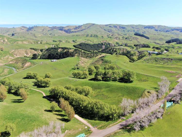 338 Te Awa Road Hawkes Bay_6
