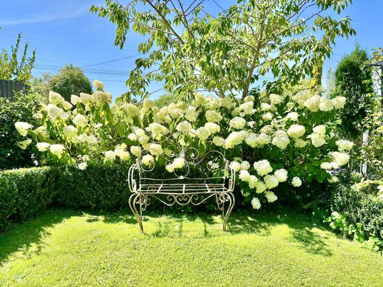 22 Domain Road Waipawa_30