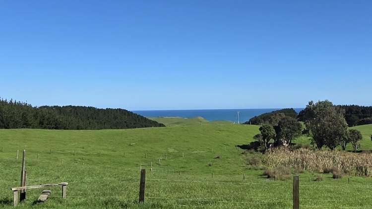 1265 Babylon Coast Road, Mamaranui Dargaville_1