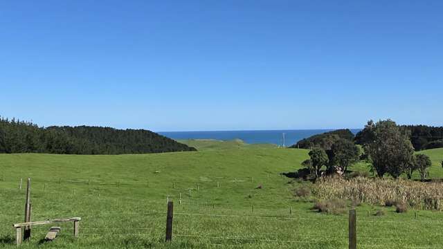 1265 Babylon Coast Road, Mamaranui Dargaville_1