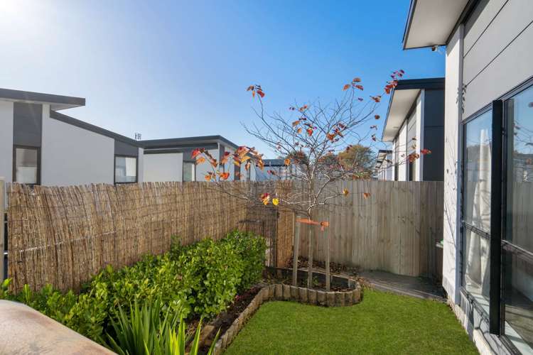 8 League Lane Phillipstown_15