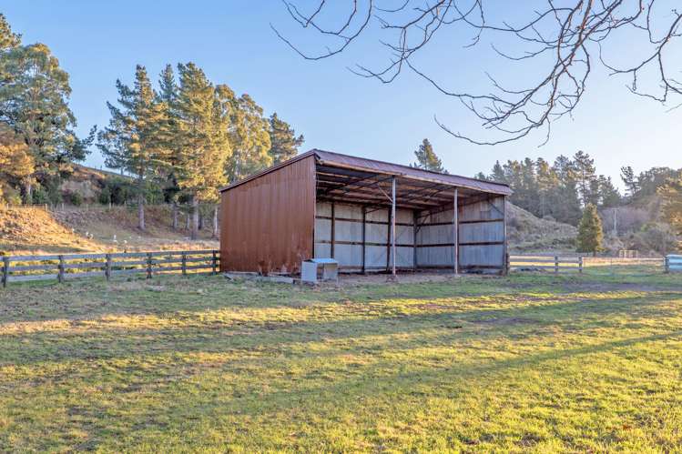 773 Mount Thomas Road Fernside_22