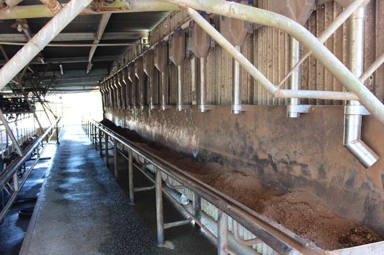 89 Jones Road Donnellys Crossing_8