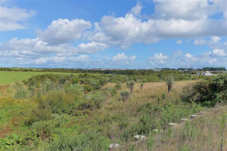 21 Haddington Drive Flat Bush_11