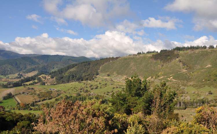 66 Rayners Road Hira_11