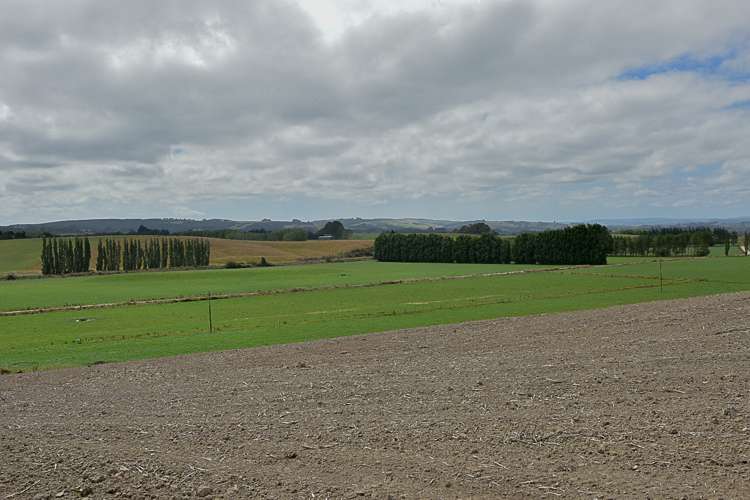 217 Benhar Road Balclutha_21