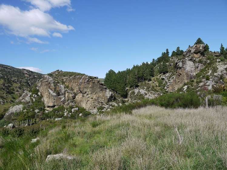 Teviot Street Roxburgh_10