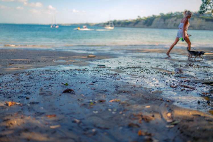 39b Watea Road Torbay_42