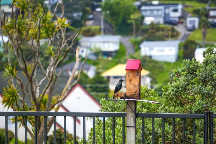 20 Totara Road Stanmore Bay_13