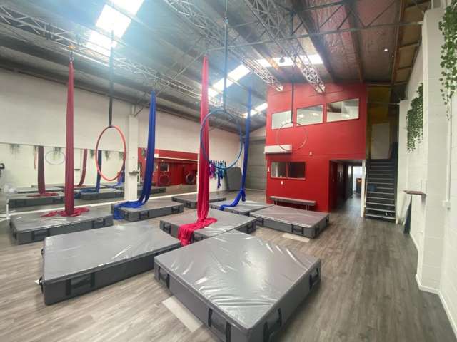 25 Carlyle Street Napier South_3