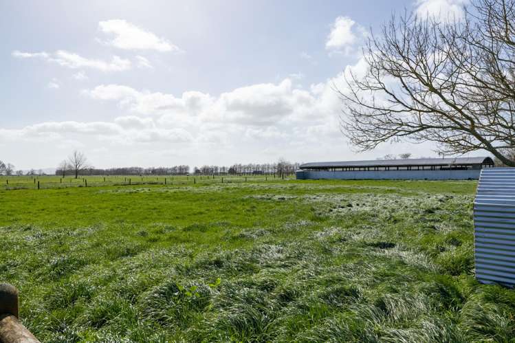 284 Shewan Road Gordonton_19