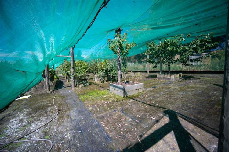 127 Redwood Valley Road Redwood Valley_32