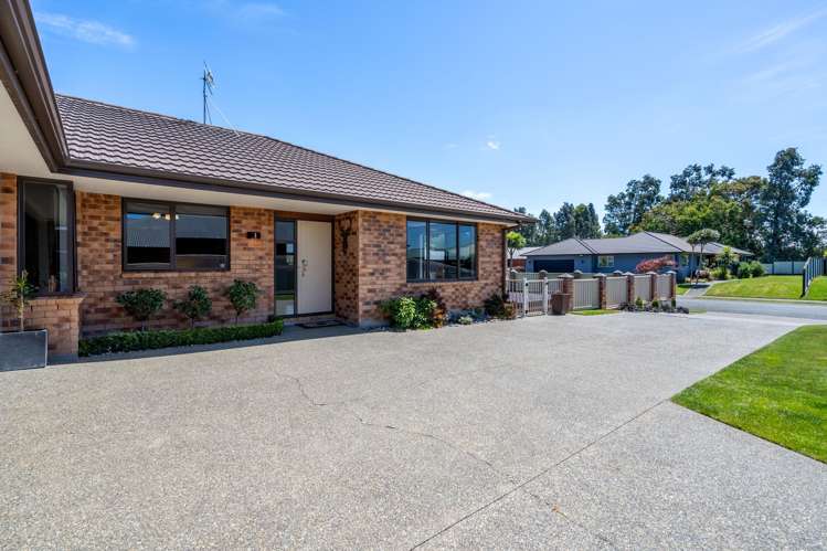 51 Hoffman Court Waikiwi_28