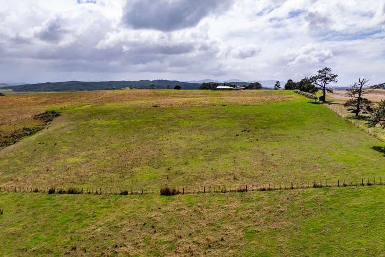 244 Waihue Road Dargaville_15