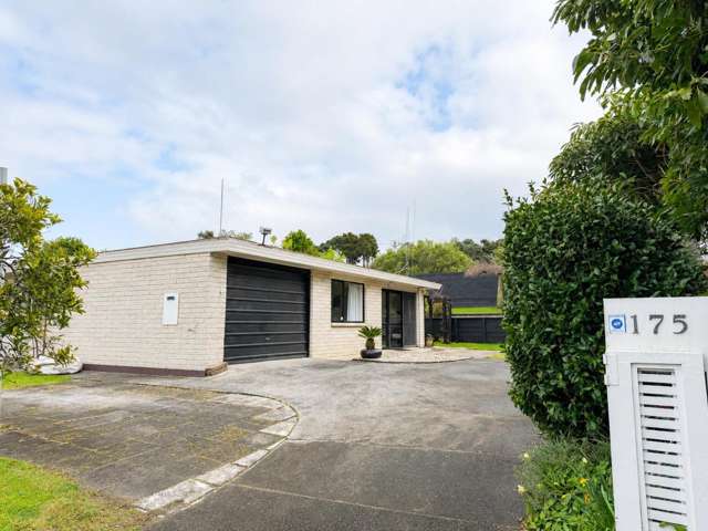 175 Te Hono Street 1106_1