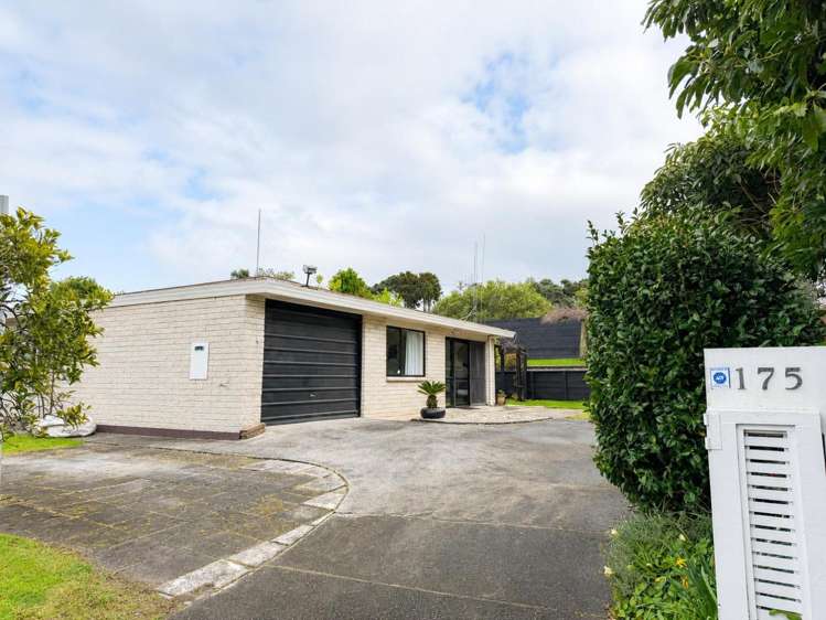 175 Te Hono Street 1106_1