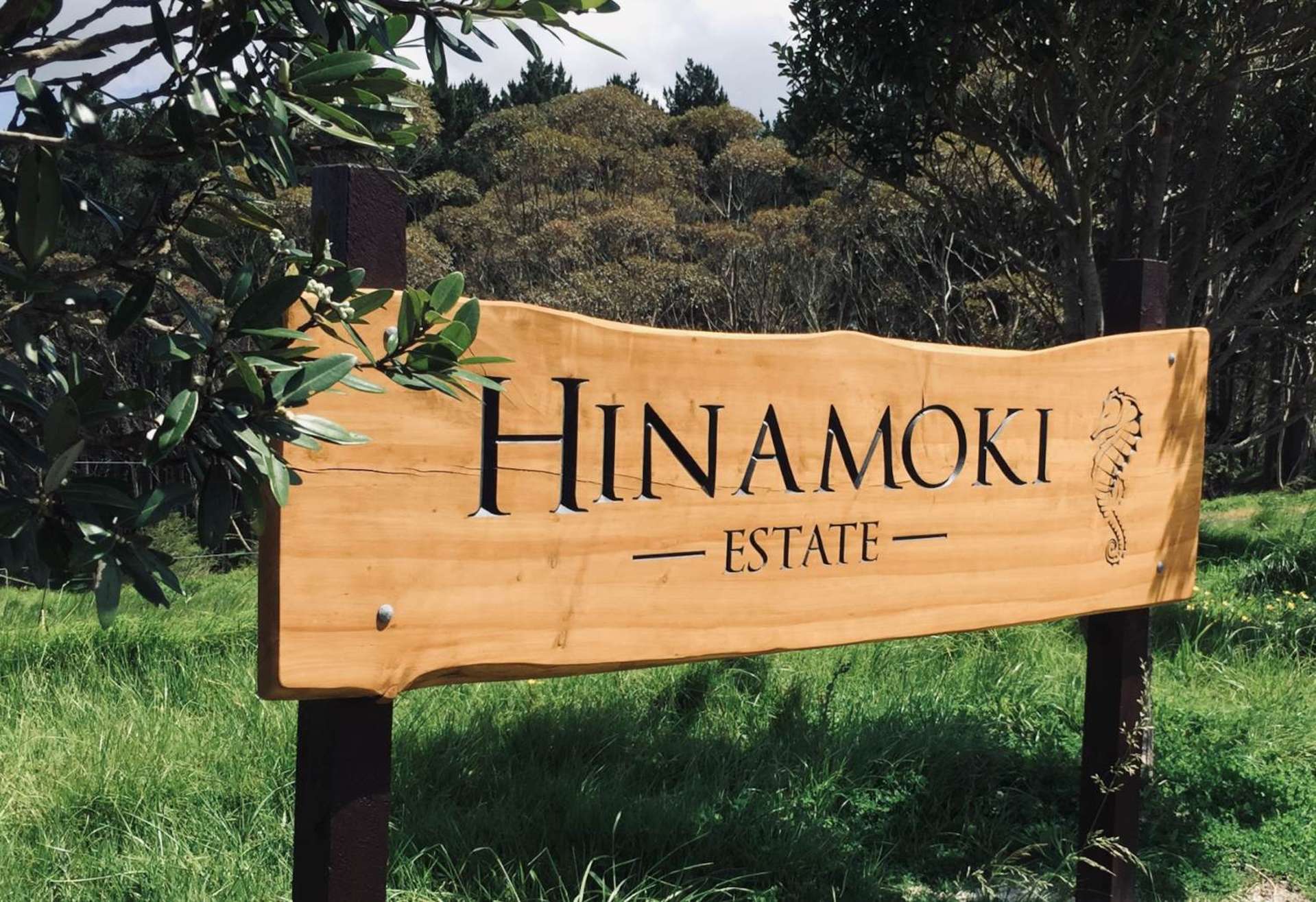 Hinamoki Estate Kaiwaka_0