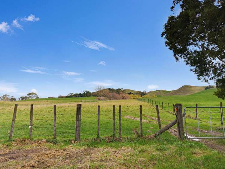 324 Homewood Road Waipawa_11