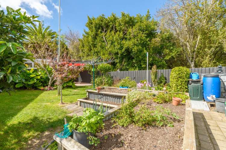 2 Columba Place Matua_16