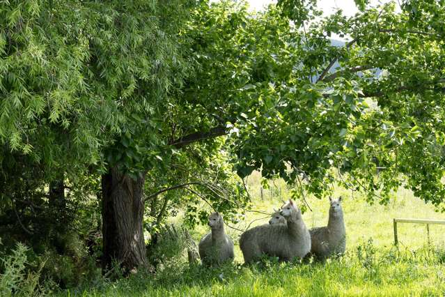 530 Old Woodcocks Road Kaipara Flats_3