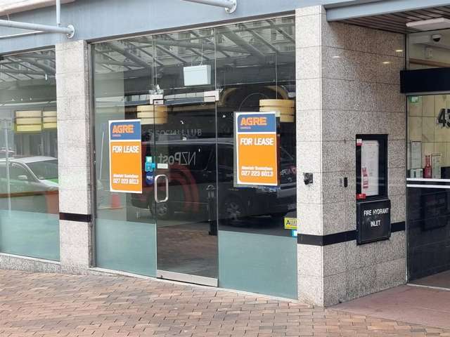 43 Princes Street Central Dunedin_2