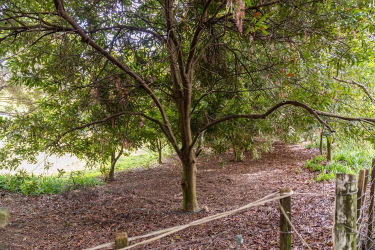 20 Waioneone Road Parahaki_22