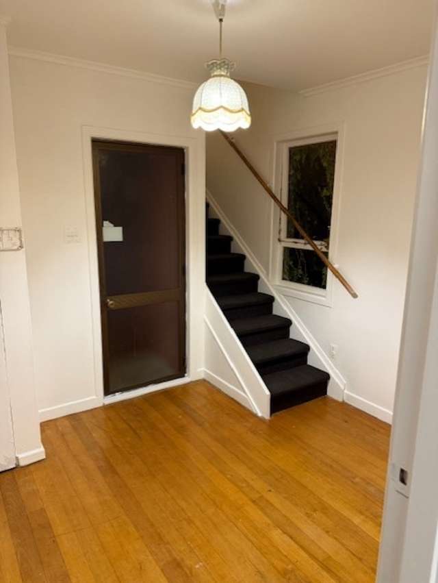 10 Boler Place New Lynn_3