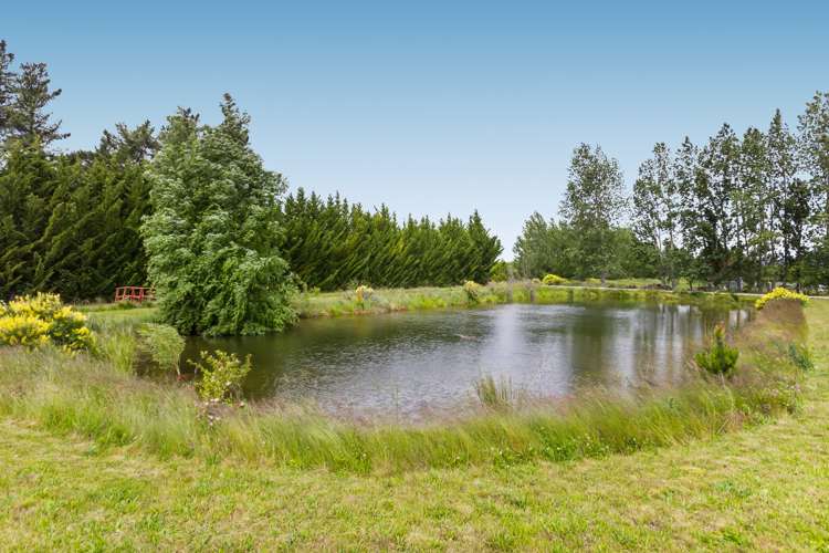 448 Letts Gully Road Alexandra_15