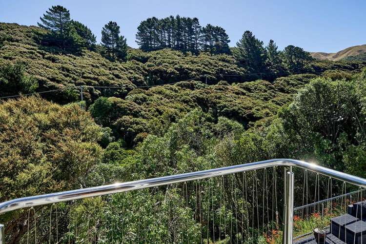 101 Cluny Road Plimmerton_18