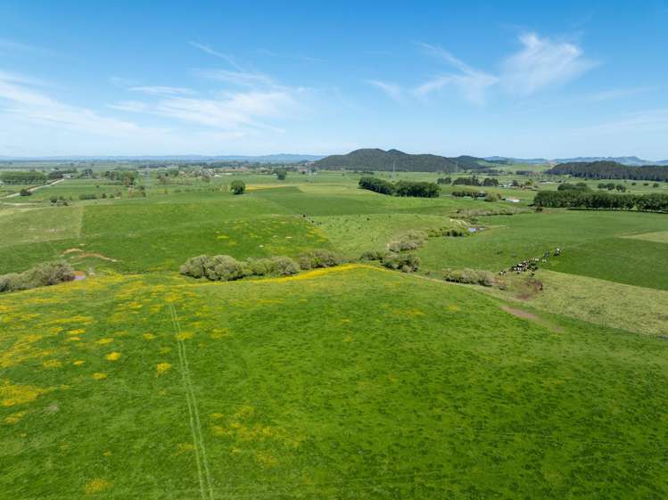 1230 Tauhei Road Morrinsville_22