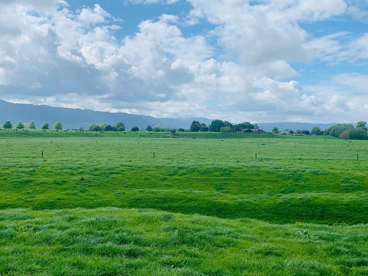 289/296 Tauranga Road Matamata_10