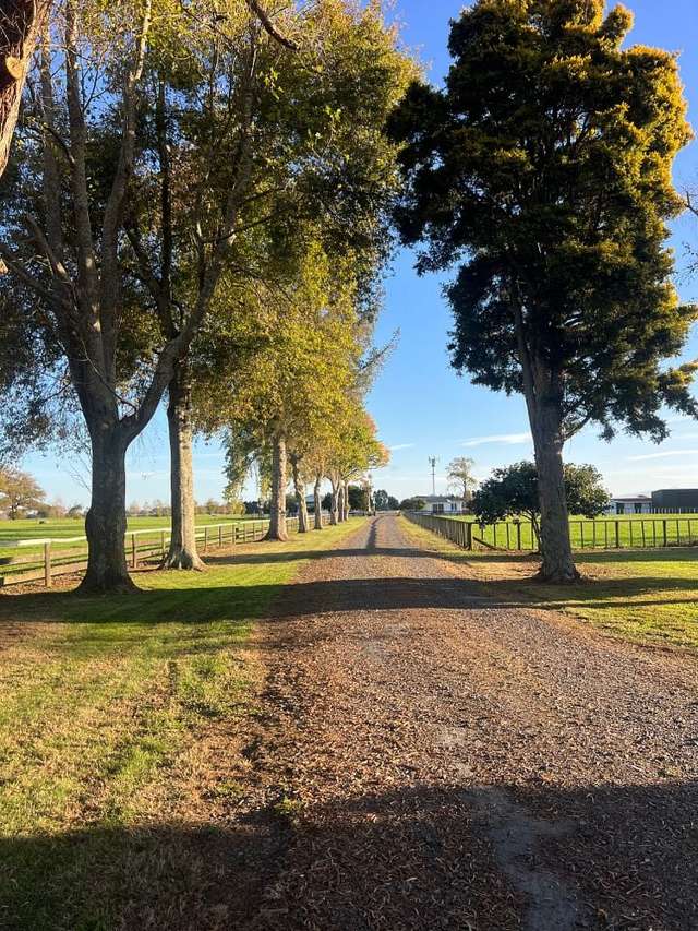 3/1628 Cambridge Road Cambridge_1