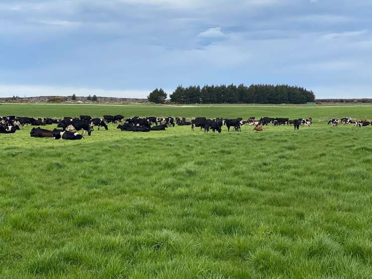 39 Hall Road Awarua Plains_8