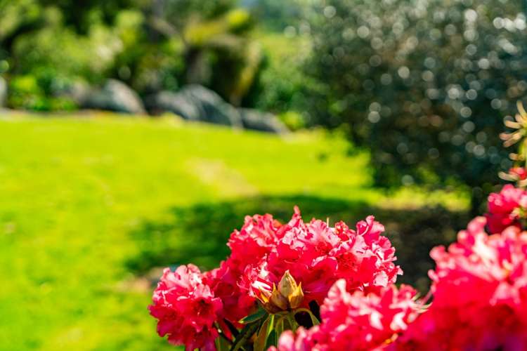 176 Hodge Road Ruatangata_23