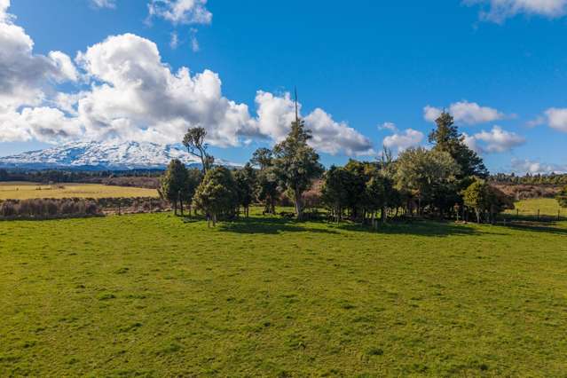 Lot 10/136 Matapuna Road Horopito_2