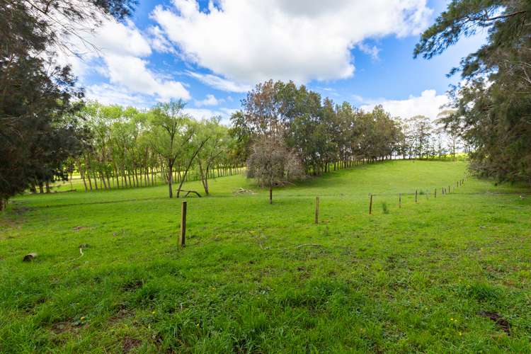 48 Marsh Road Wharehine_12