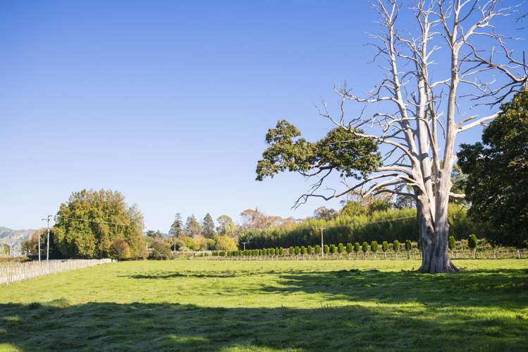 767 Wharerata Road Manutuke_57