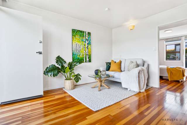 3/32 Brixton Road Mount Eden_2