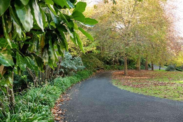 28 Silkwood Way Tauriko_14