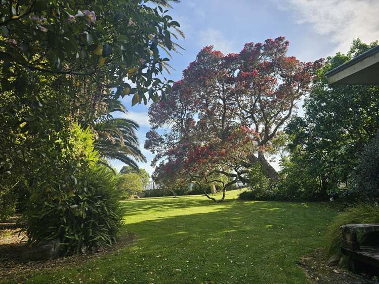 121 Ohawini Road Oakura_43